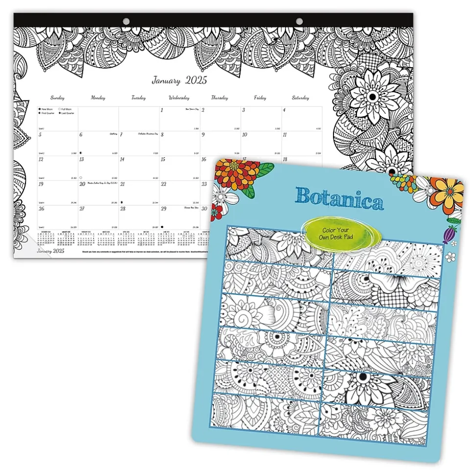2025 Blueline DoodlePlan Botanica 17.75" x 10.88" Monthly Coloring Desk Pad Calendar, White/Black (C2917001)