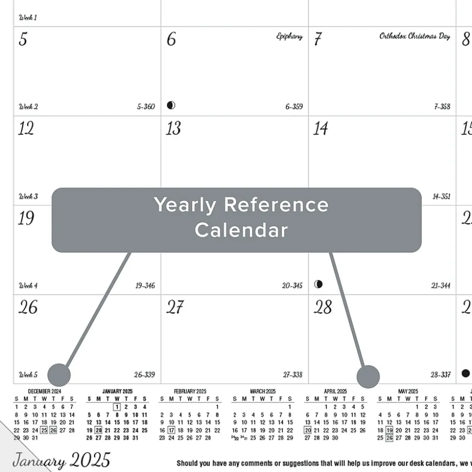 2025 Blueline DoodlePlan Botanica 17.75" x 10.88" Monthly Coloring Desk Pad Calendar, White/Black (C2917001)