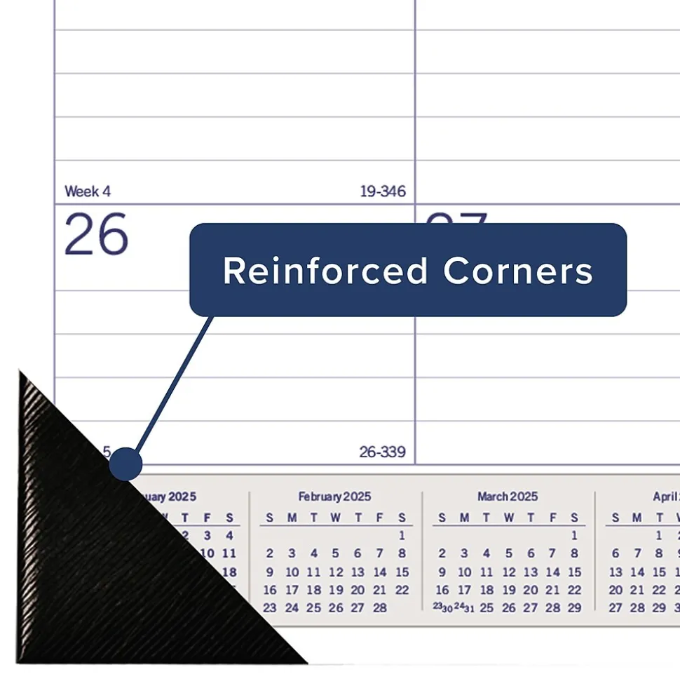 2025 Blueline DuraGlobe 22" x 17" Monthly Desk Pad Calendar, White/Blue (C177227)