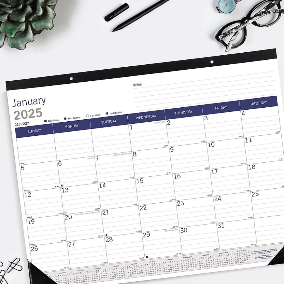 2025 Blueline DuraGlobe 22" x 17" Monthly Desk Pad Calendar, White/Blue (C177227)