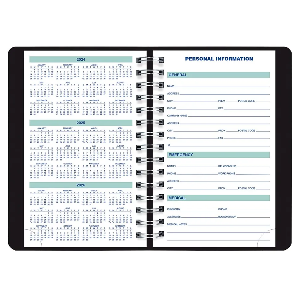 2025 Blueline Plan & Link 5" x 8" Daily Appointment Book, Faux Leather Cover, Black (C1504W.81)