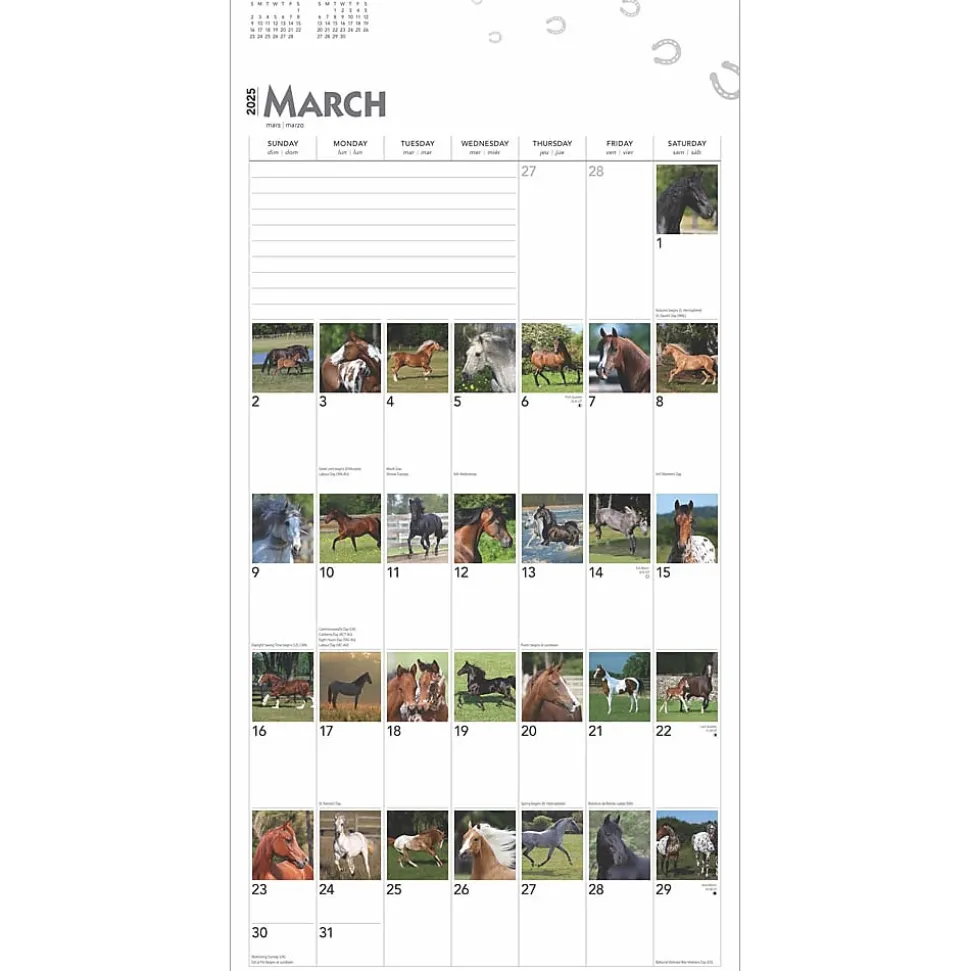 2025 BrownTrout 365 Days of Horses 12" x 12" Monthly Wall Calendar (9781975477165)