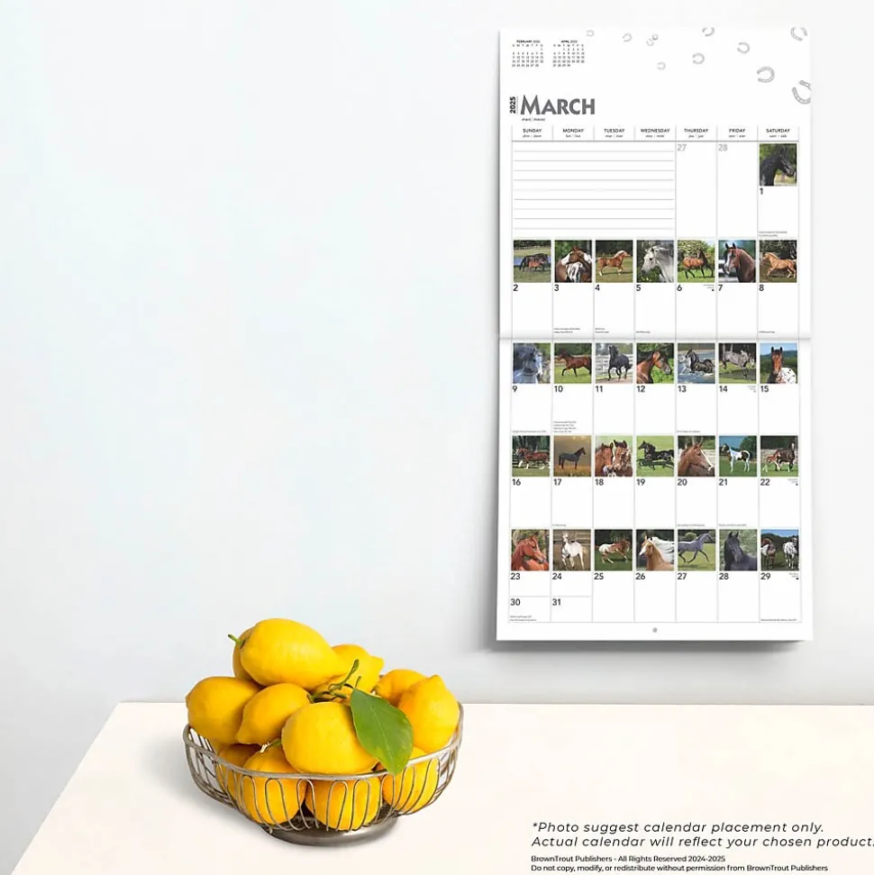 2025 BrownTrout 365 Days of Horses 12" x 12" Monthly Wall Calendar (9781975477165)