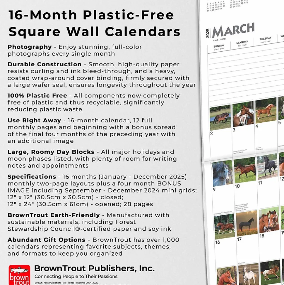 2025 BrownTrout 365 Days of Horses 12" x 12" Monthly Wall Calendar (9781975477165)