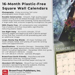 2025 BrownTrout Alchemy Witches OFFICIAL 12