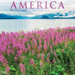 2025 BrownTrout America 12" x 12" Monthly Square Wall Calendar (9781975474447)