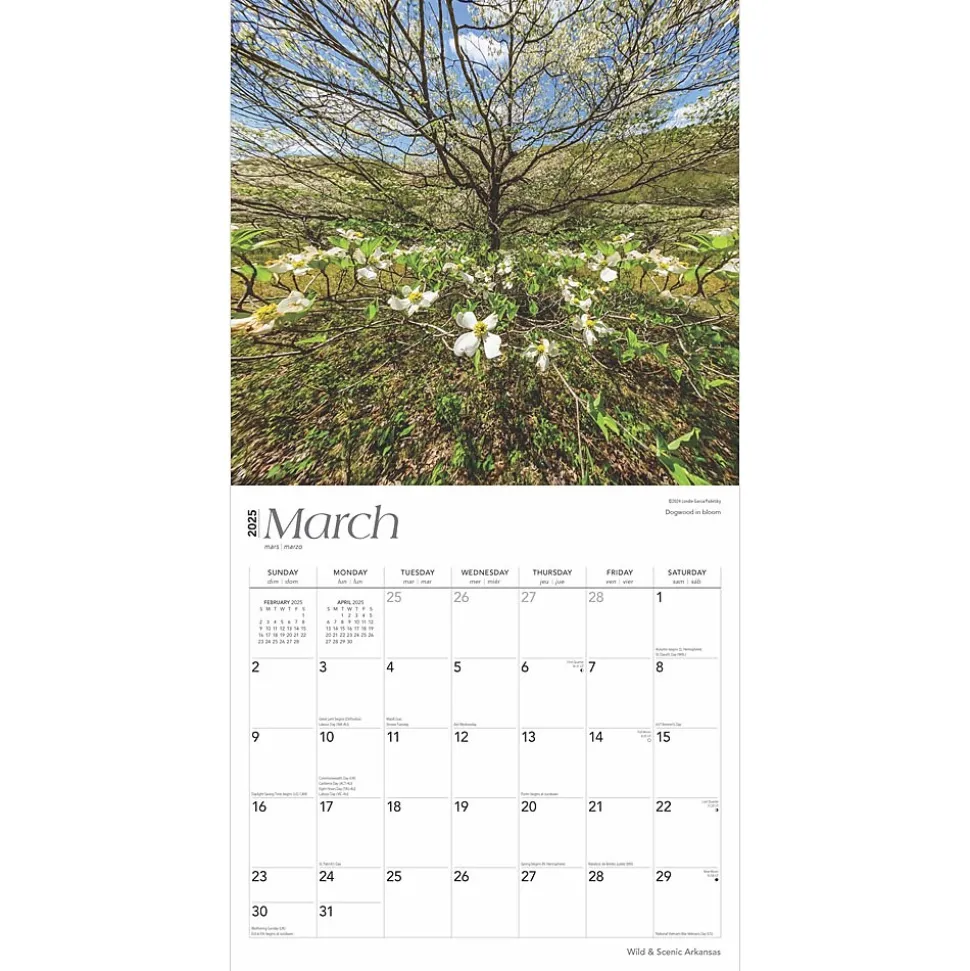 2025 BrownTrout Arkansas Wild & Scenic 12" x 12" Monthly Square Wall Calendar (9781975474478)