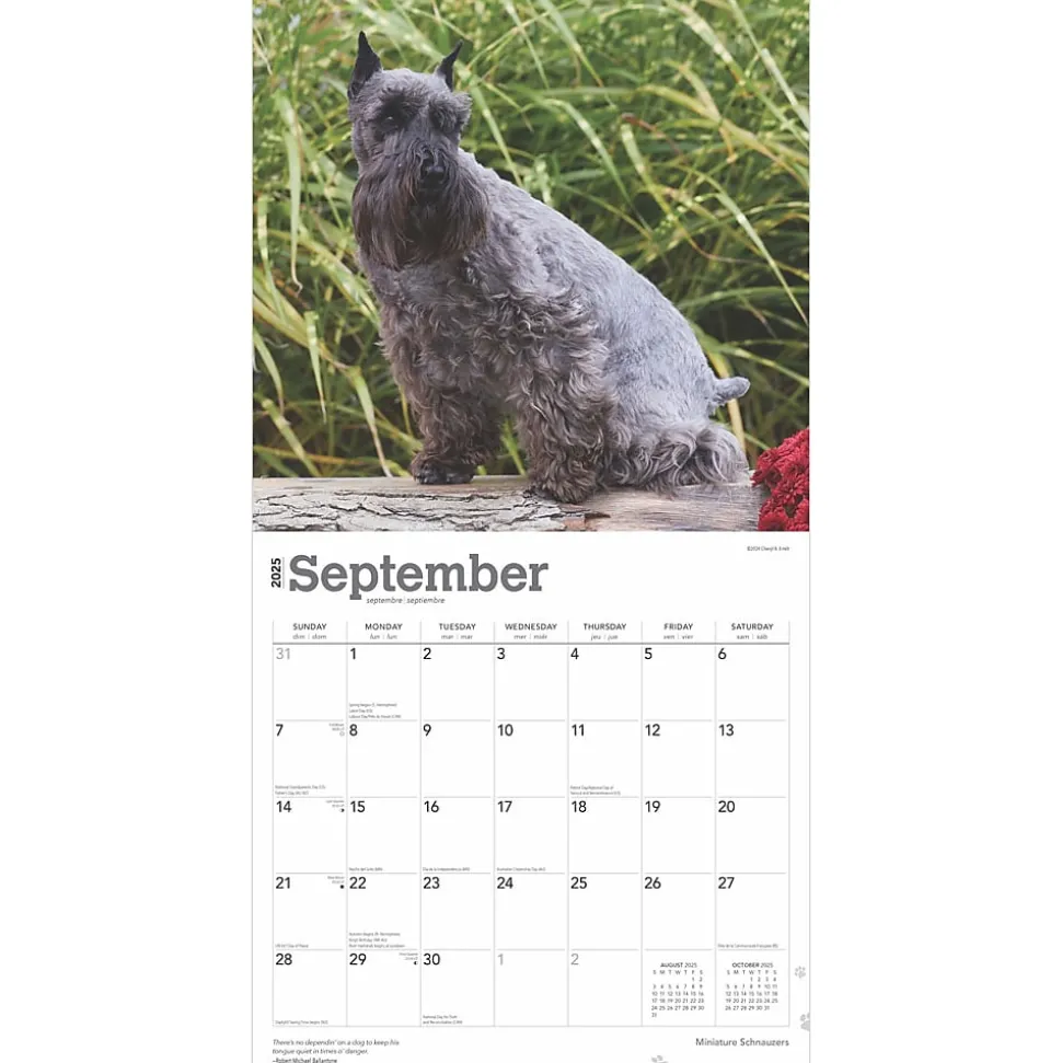 2025 BrownTrout ature Schnauzers 12" x 12" Monthly Wall Calendar (9781975477684)