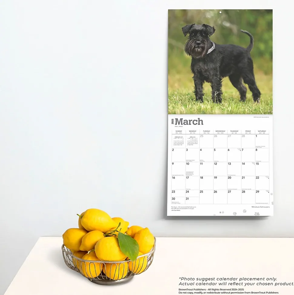 2025 BrownTrout ature Schnauzers 12" x 12" Monthly Wall Calendar (9781975477684)