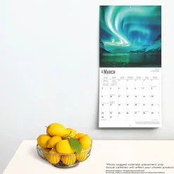 2025 BrownTrout Aurora Borealis Les aurores boréales 12