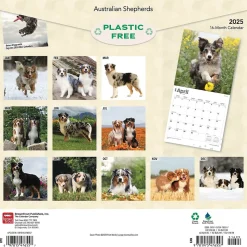 2025 BrownTrout Australian Shepherds 12" x 12" Monthly Wall Calendar (9781975476557)
