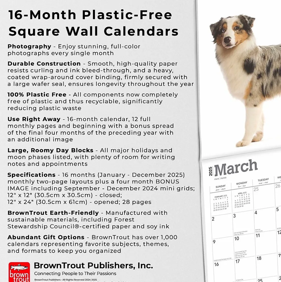 2025 BrownTrout Australian Shepherds 12" x 12" Monthly Wall Calendar (9781975476557)