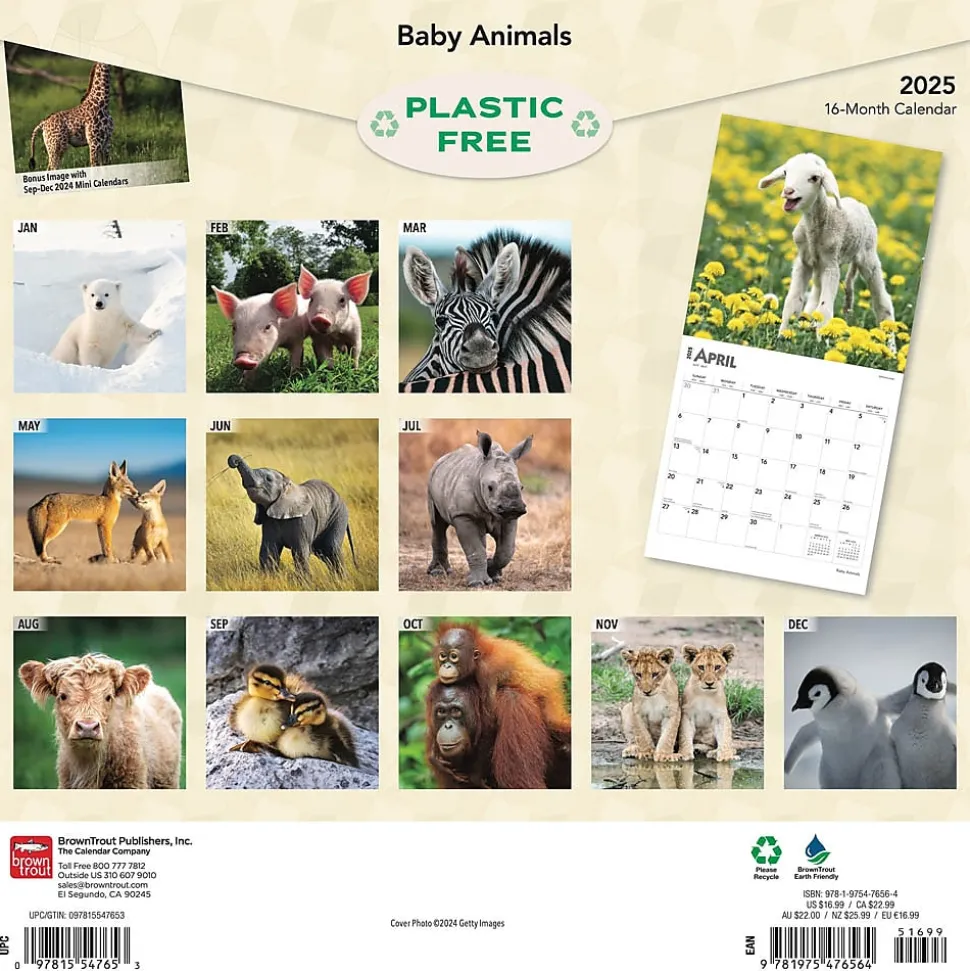 2025 BrownTrout Baby Animals 12" x 12" Monthly Square Wall Calendar (9781975476564)