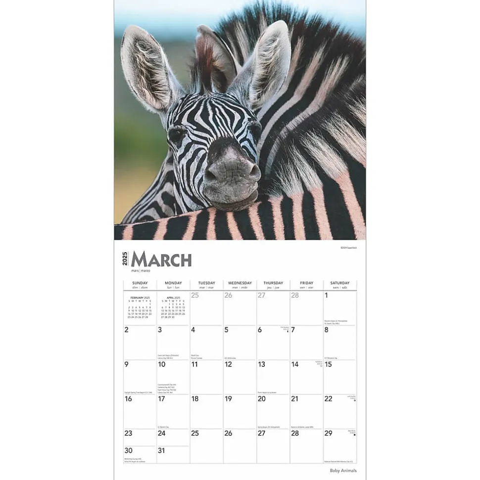 2025 BrownTrout Baby Animals 12" x 12" Monthly Square Wall Calendar (9781975476564)