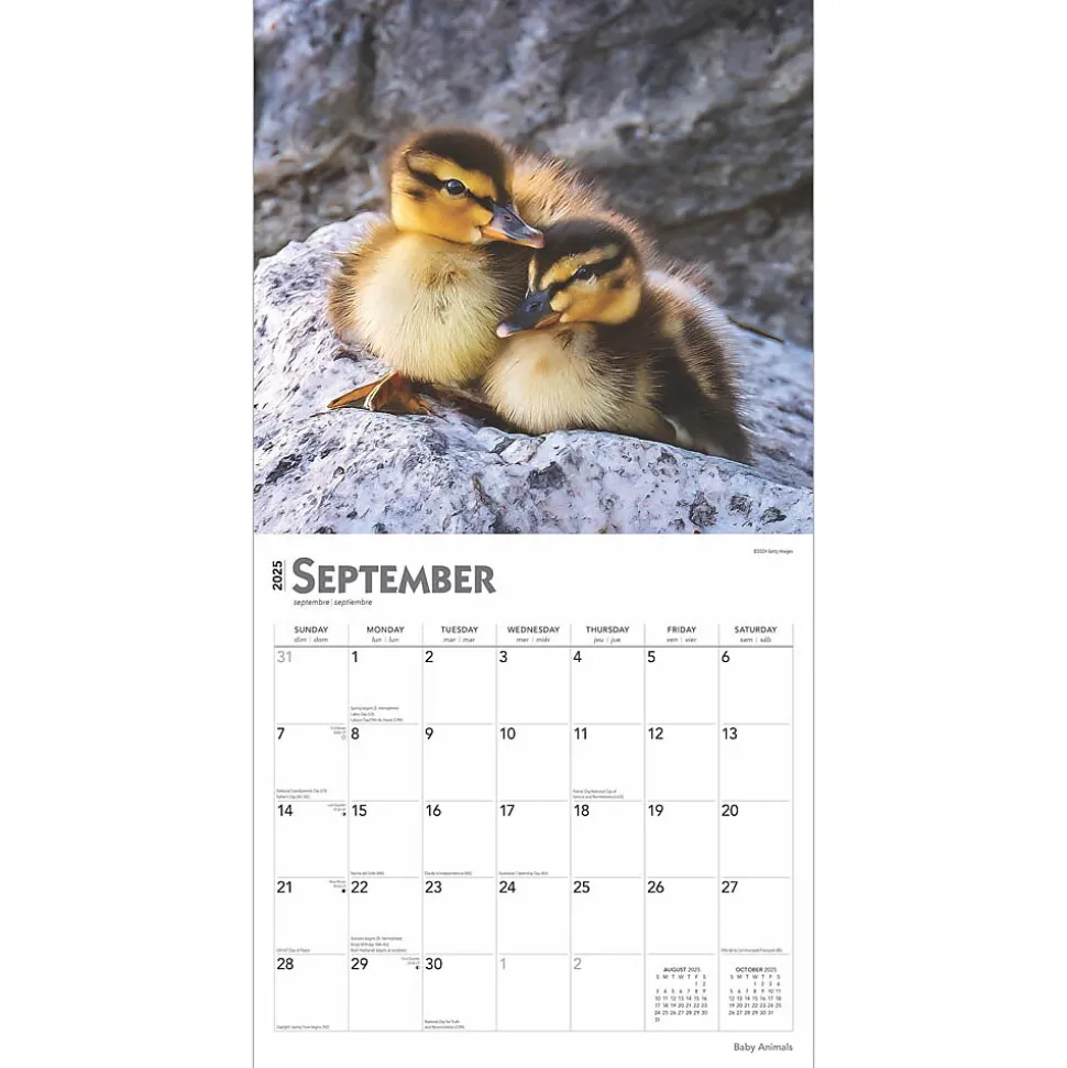 2025 BrownTrout Baby Animals 12" x 12" Monthly Square Wall Calendar (9781975476564)
