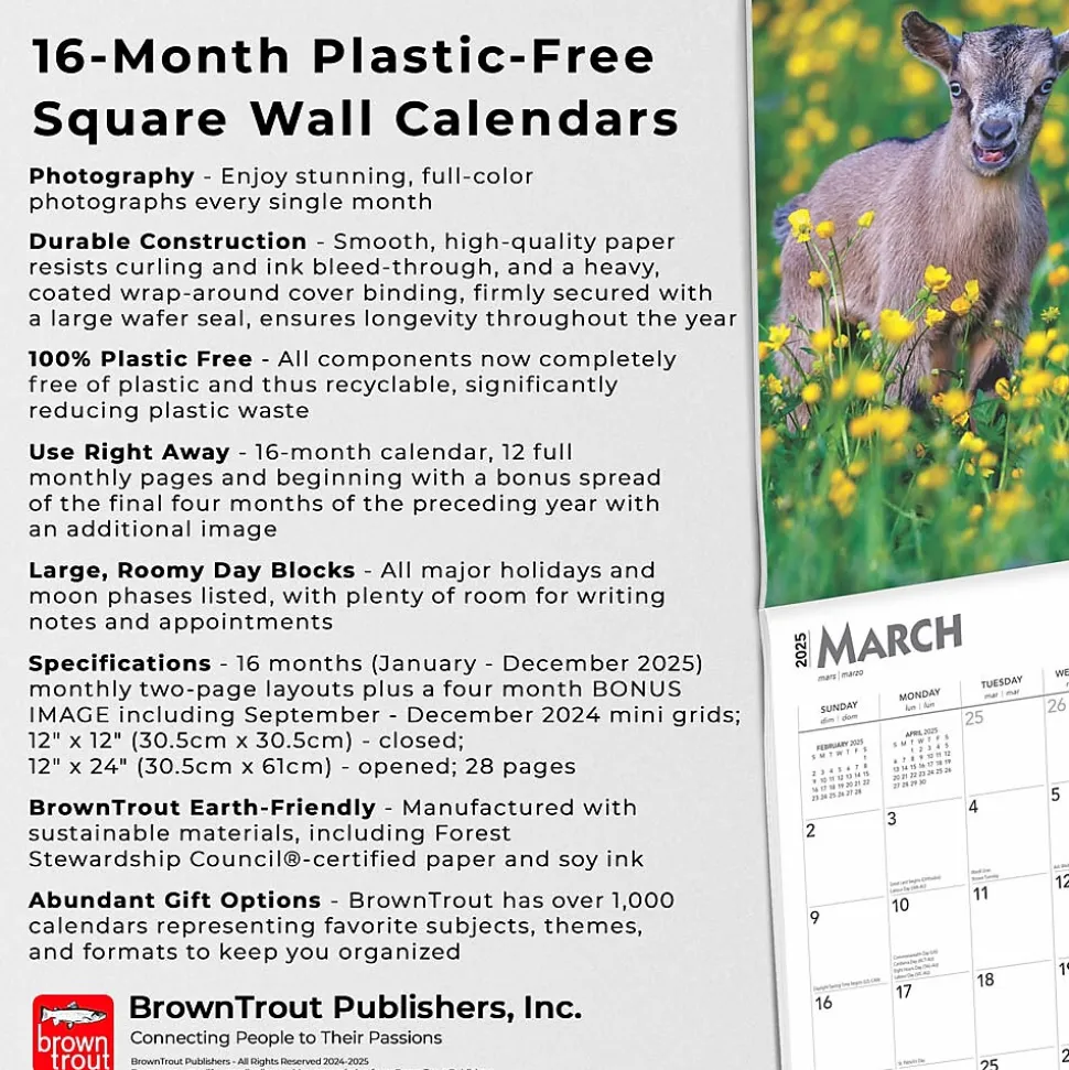 2025 BrownTrout Baby Goats 12" x 12" Monthly Wall Calendar (9781975476571)