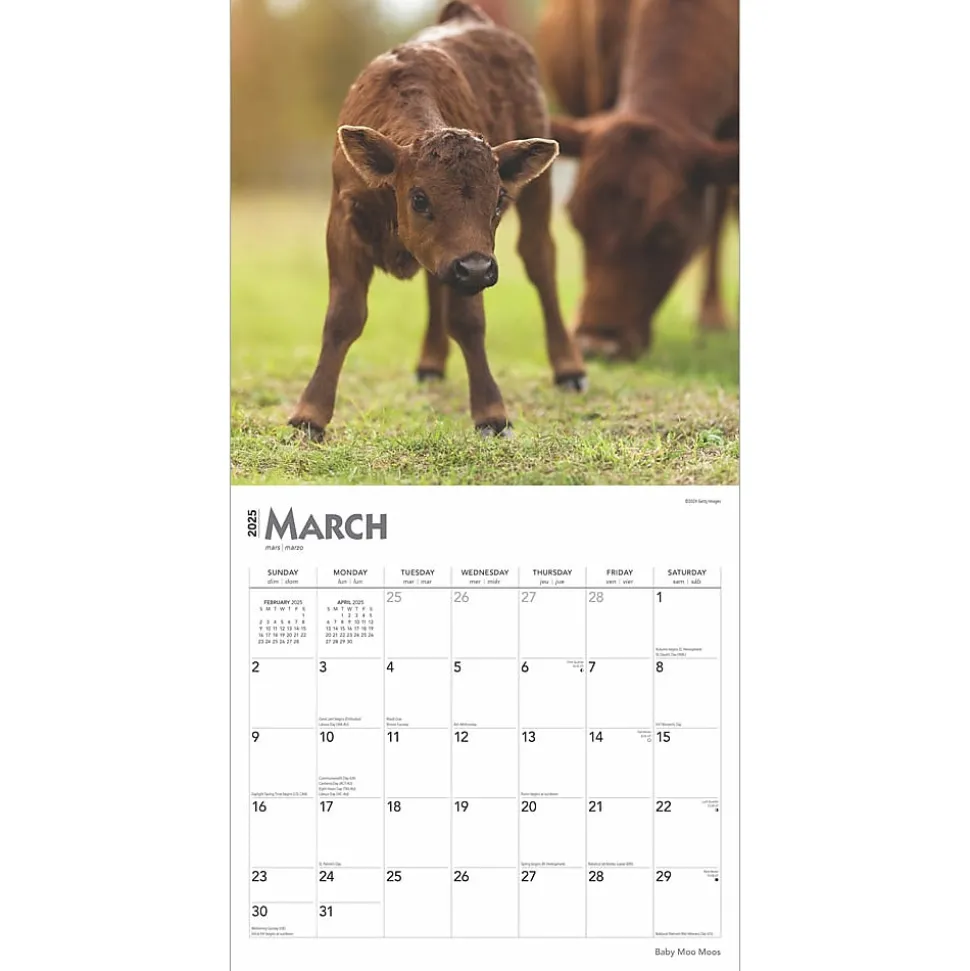 2025 BrownTrout Baby Moo Moos 12" x 12" Monthly Wall Calendar (9781975476588)