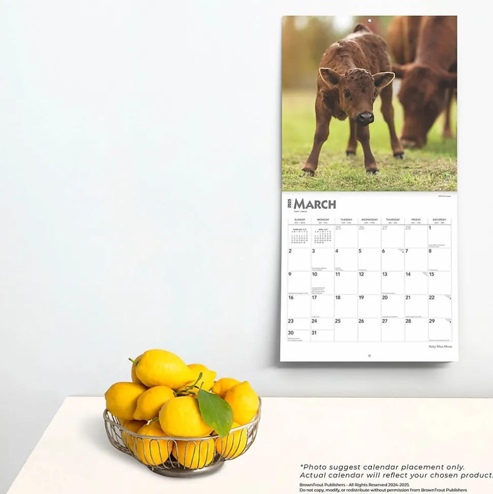 2025 BrownTrout Baby Moo Moos 12" x 12" Monthly Wall Calendar (9781975476588)