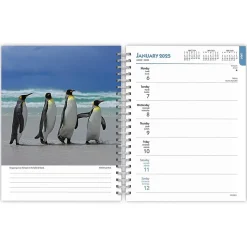 2025 BrownTrout Beaches 6