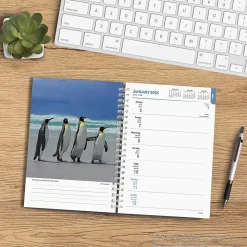 2025 BrownTrout Beaches 6