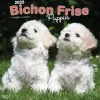 2025 BrownTrout Bichon Frise Puppies 12" x 12" Monthly Wall Calendar (9781975474508)