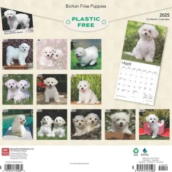 2025 BrownTrout Bichon Frise Puppies 12" x 12" Monthly Wall Calendar (9781975474508)