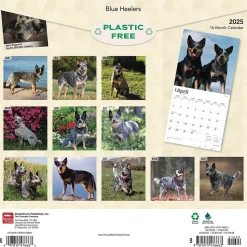 2025 BrownTrout Blue Heelers 12" x 12" Monthly Wall Calendar (9781975476663)