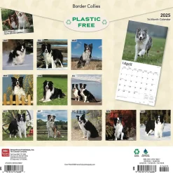 2025 BrownTrout Border Collies 12" x 12" Monthly Wall Calendar (9781975476687)