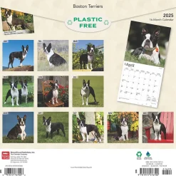 2025 BrownTrout Boston Terriers 12" x 12" Monthly Wall Calendar (9781975476700)