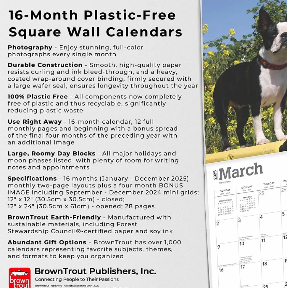 2025 BrownTrout Boston Terriers 12" x 12" Monthly Wall Calendar (9781975476700)