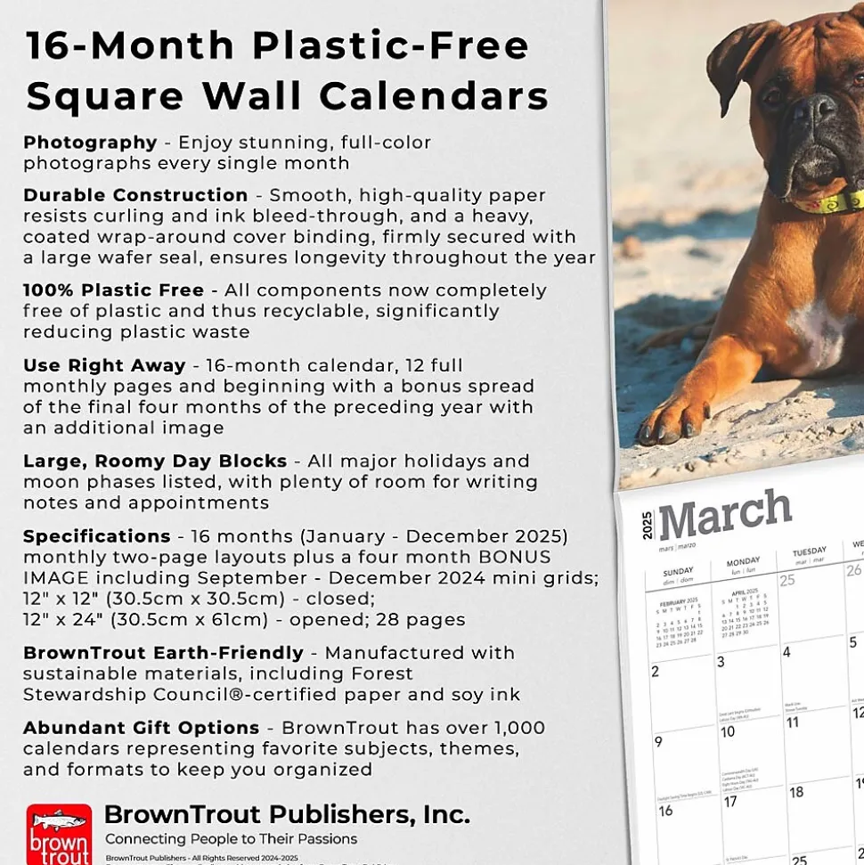 2025 BrownTrout Boxers International Edition 12" x 12" Monthly Wall Calendar (9781975474522)