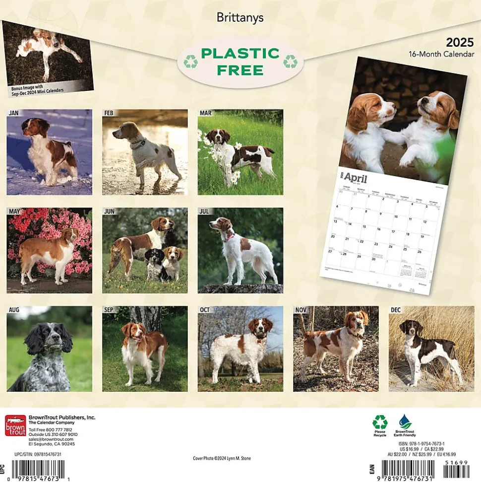2025 BrownTrout Brittanys 12" x 12" Monthly Wall Calendar (9781975476731)