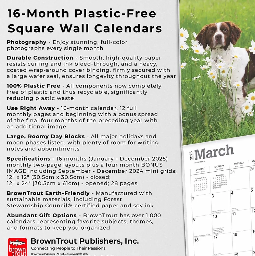 2025 BrownTrout Brittanys 12" x 12" Monthly Wall Calendar (9781975476731)