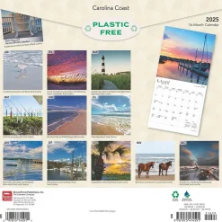 2025 BrownTrout Carolina Coast 12" x 12" Monthly Wall Calendar (9781975474591)