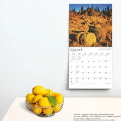 2025 BrownTrout Cascades 12