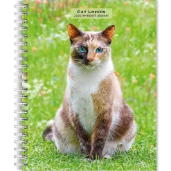 2025 BrownTrout Cat Lovers 6" x 7.75" Weekly Engagement Planner, Paper Cover, Multicolored (9781975473204)