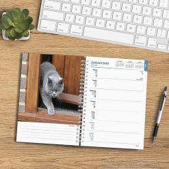 2025 BrownTrout Cat Lovers 6