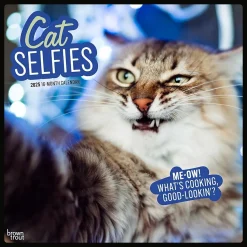 2025 BrownTrout Cat Selfies 12" x 12" Monthly Wall Calendar (9781975474614)