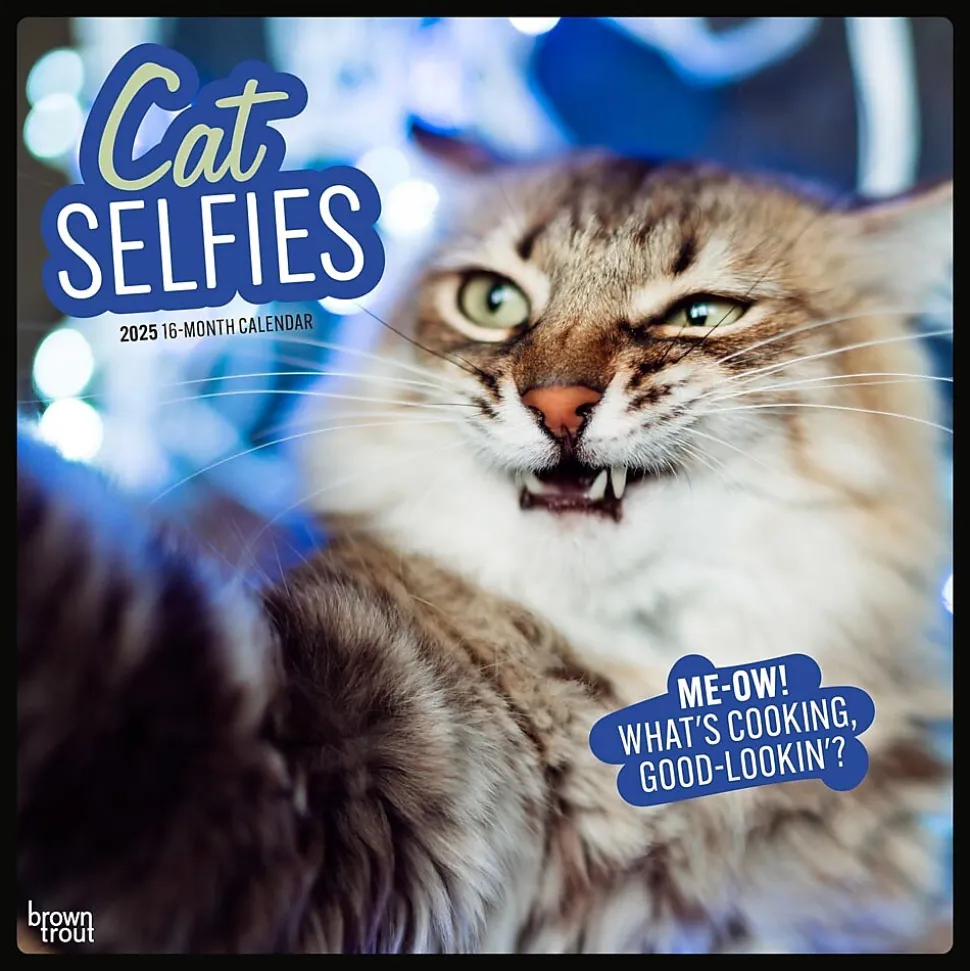 2025 BrownTrout Cat Selfies 12" x 12" Monthly Wall Calendar (9781975474614)