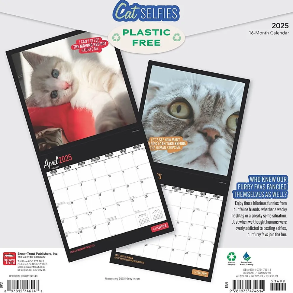 2025 BrownTrout Cat Selfies 12" x 12" Monthly Wall Calendar (9781975474614)