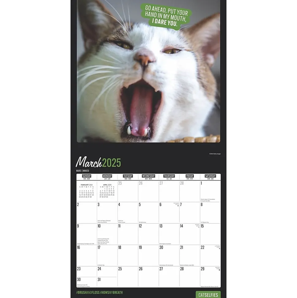 2025 BrownTrout Cat Selfies 12" x 12" Monthly Wall Calendar (9781975474614)