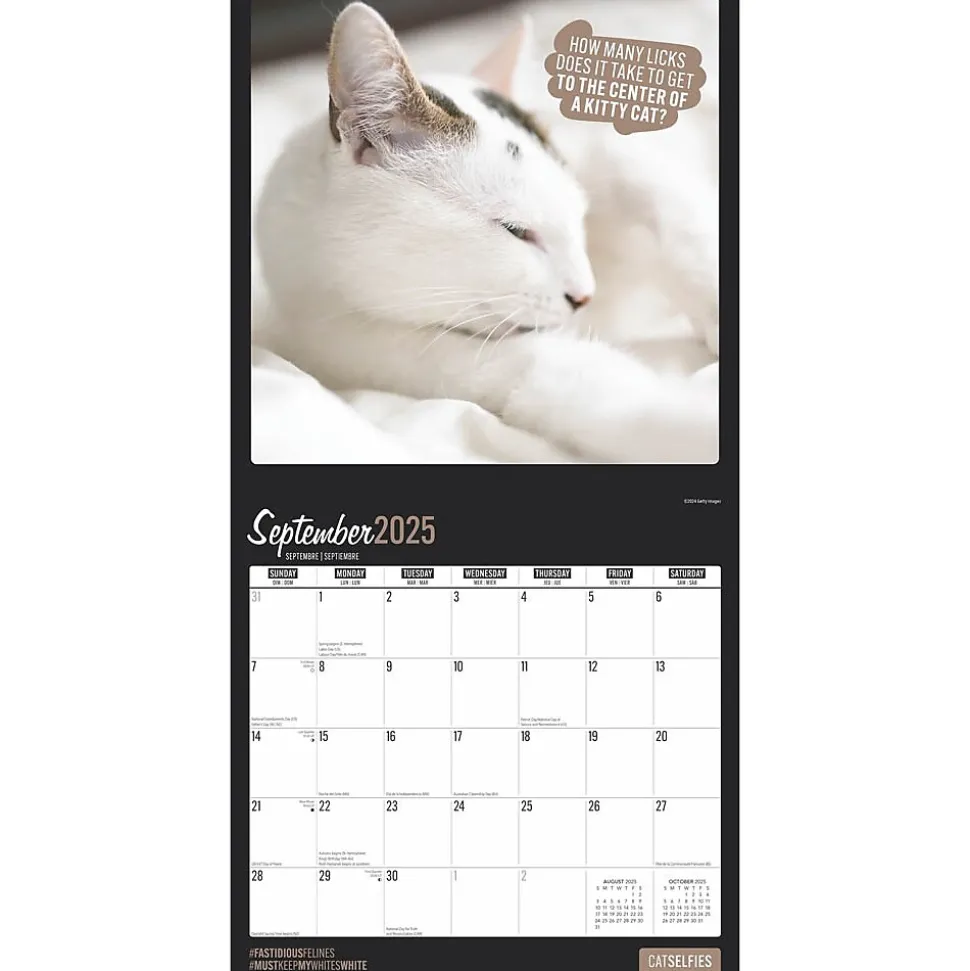 2025 BrownTrout Cat Selfies 12" x 12" Monthly Wall Calendar (9781975474614)