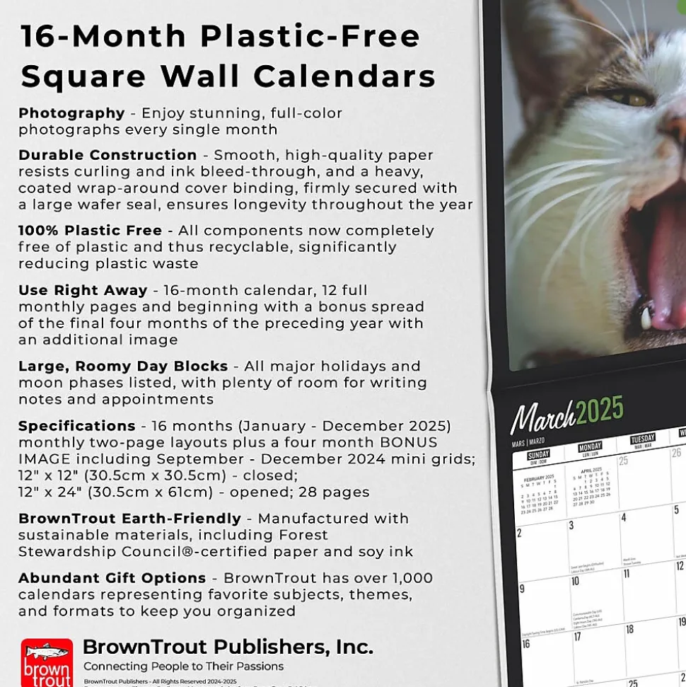 2025 BrownTrout Cat Selfies 12" x 12" Monthly Wall Calendar (9781975474614)
