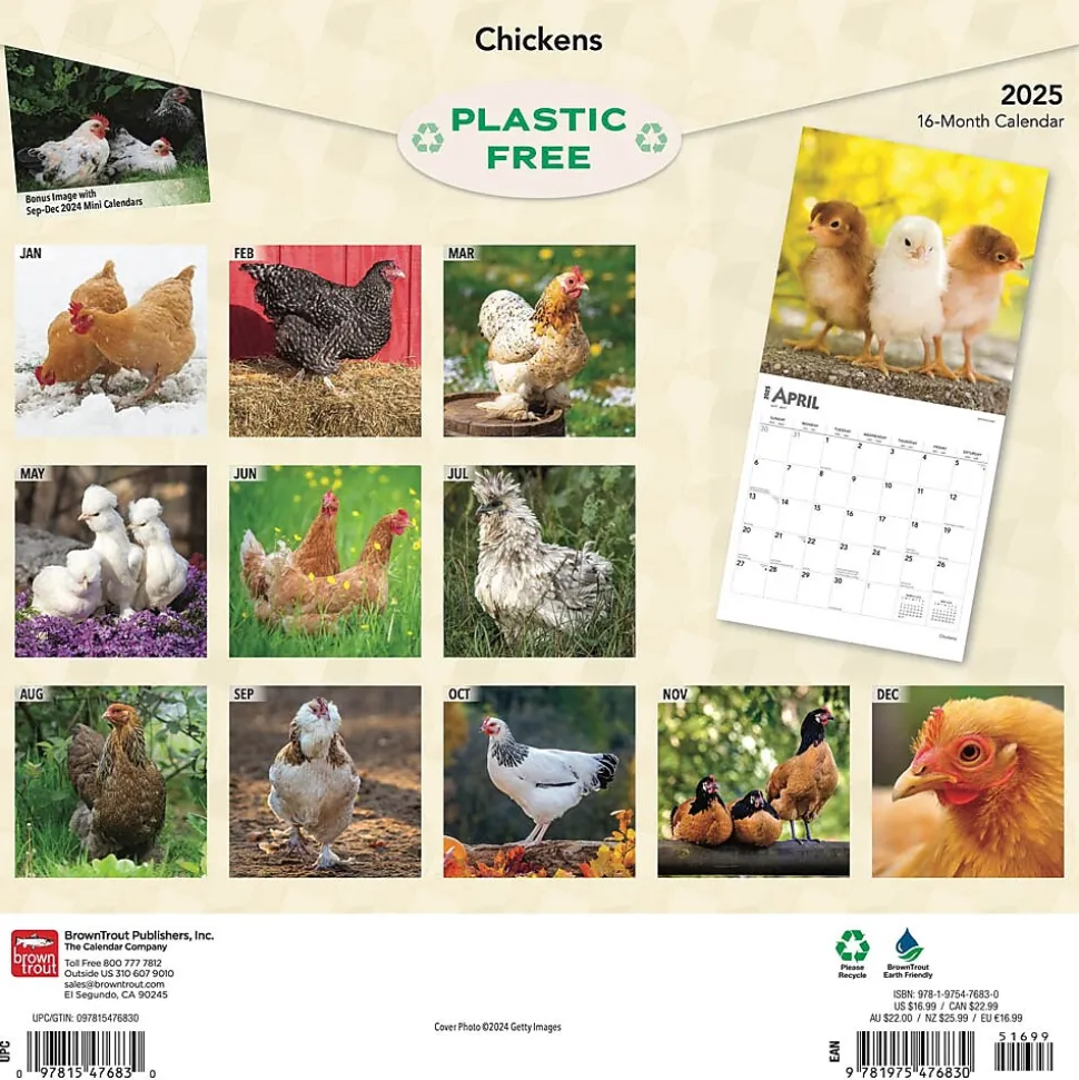 2025 BrownTrout Chickens 12" x 24" Monthly Square Wall Calendar, (9781975476830)