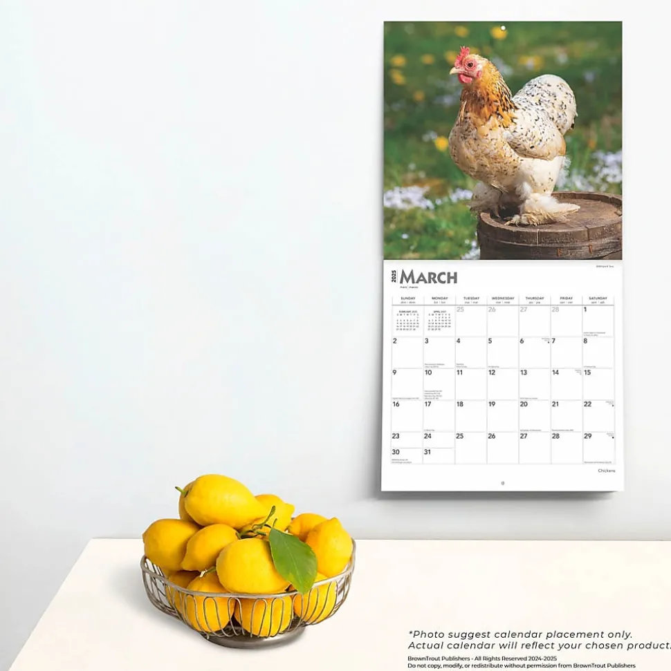 2025 BrownTrout Chickens 12" x 24" Monthly Square Wall Calendar, (9781975476830)