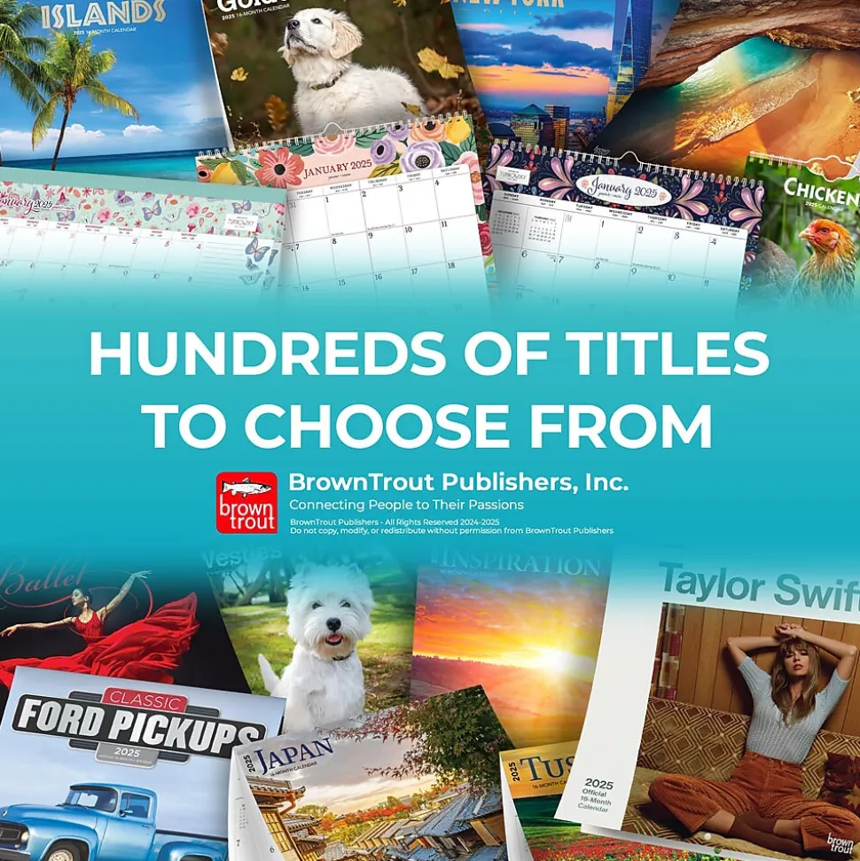 2025 BrownTrout Chickens 6" x 5" Day-to-Day Desktop Box Calendar (9781975483425)