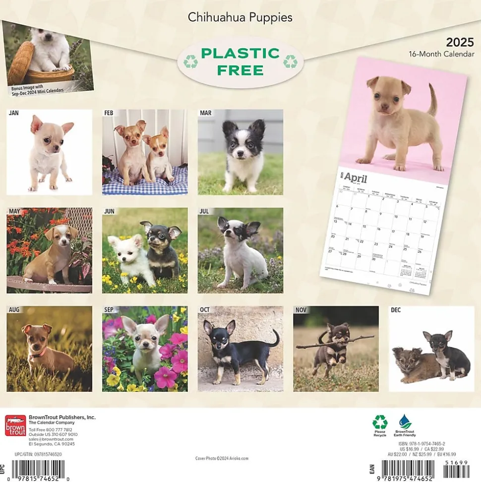 2025 BrownTrout Chihuahua Puppies 12" x 12" Monthly Wall Calendar (9781975474652)