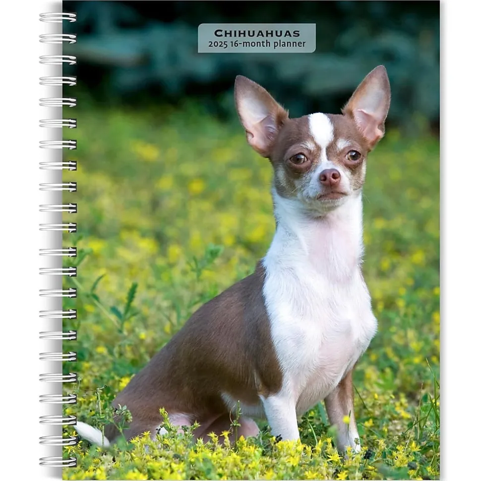 2025 BrownTrout Chihuahuas 6" x 7.75" Weekly Engagement Planner, Paper Cover, Multicolored (9781975480622)