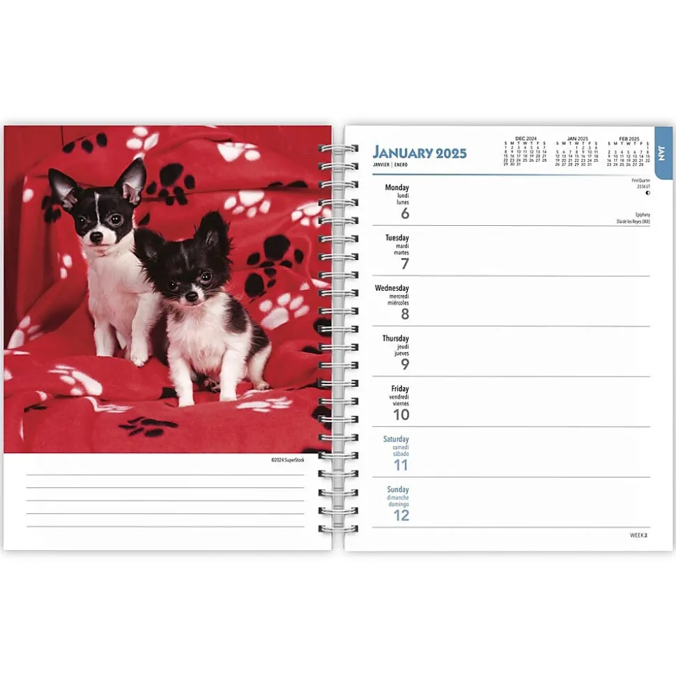 2025 BrownTrout Chihuahuas 6" x 7.75" Weekly Engagement Planner, Paper Cover, Multicolored (9781975480622)