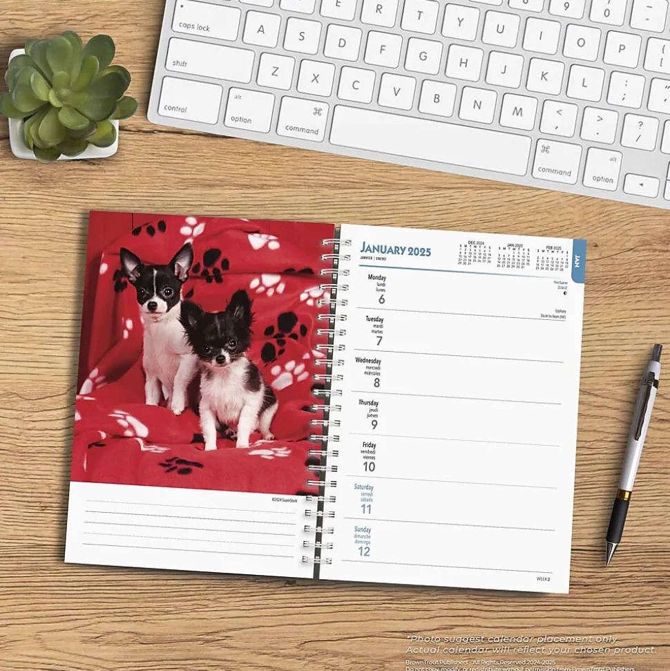 2025 BrownTrout Chihuahuas 6" x 7.75" Weekly Engagement Planner, Paper Cover, Multicolored (9781975480622)
